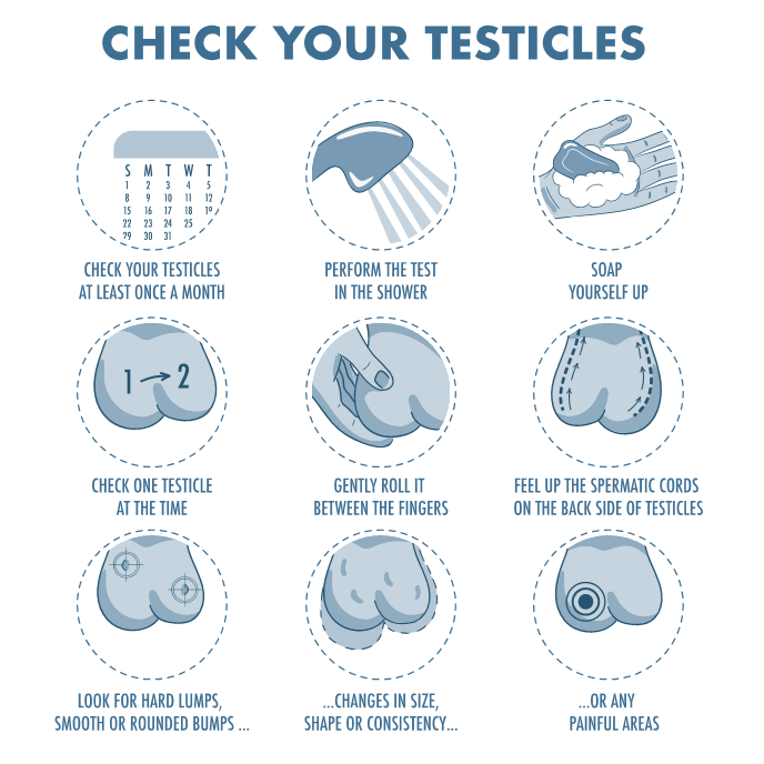 Step guide on how to check your testicles for cancer.